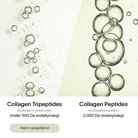 Collagen Tripeptides